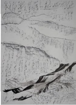 Ecriture de pierre et de plume VII, 2016 Encre de Chine et crayon graphite sur papier 65 X 50 cm